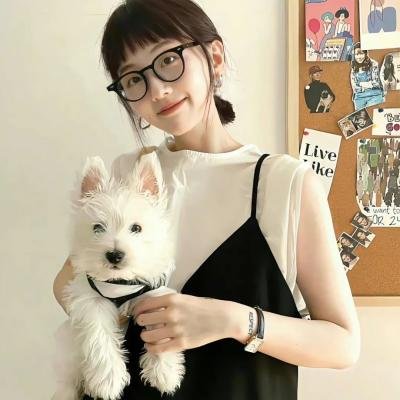 八公犬物语