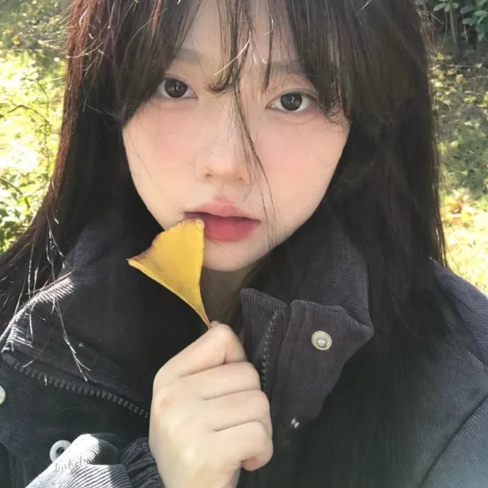 雨打梨花